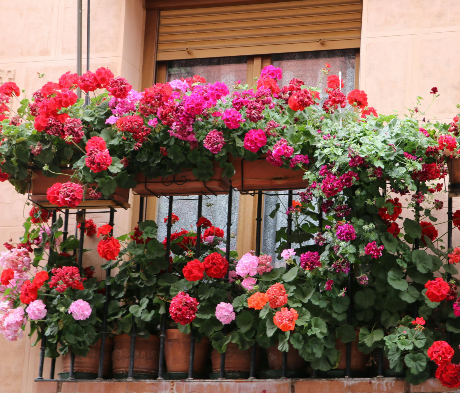 Ekologiczny Nawóz do Kwiatów Domowych i Balkonowych 1l