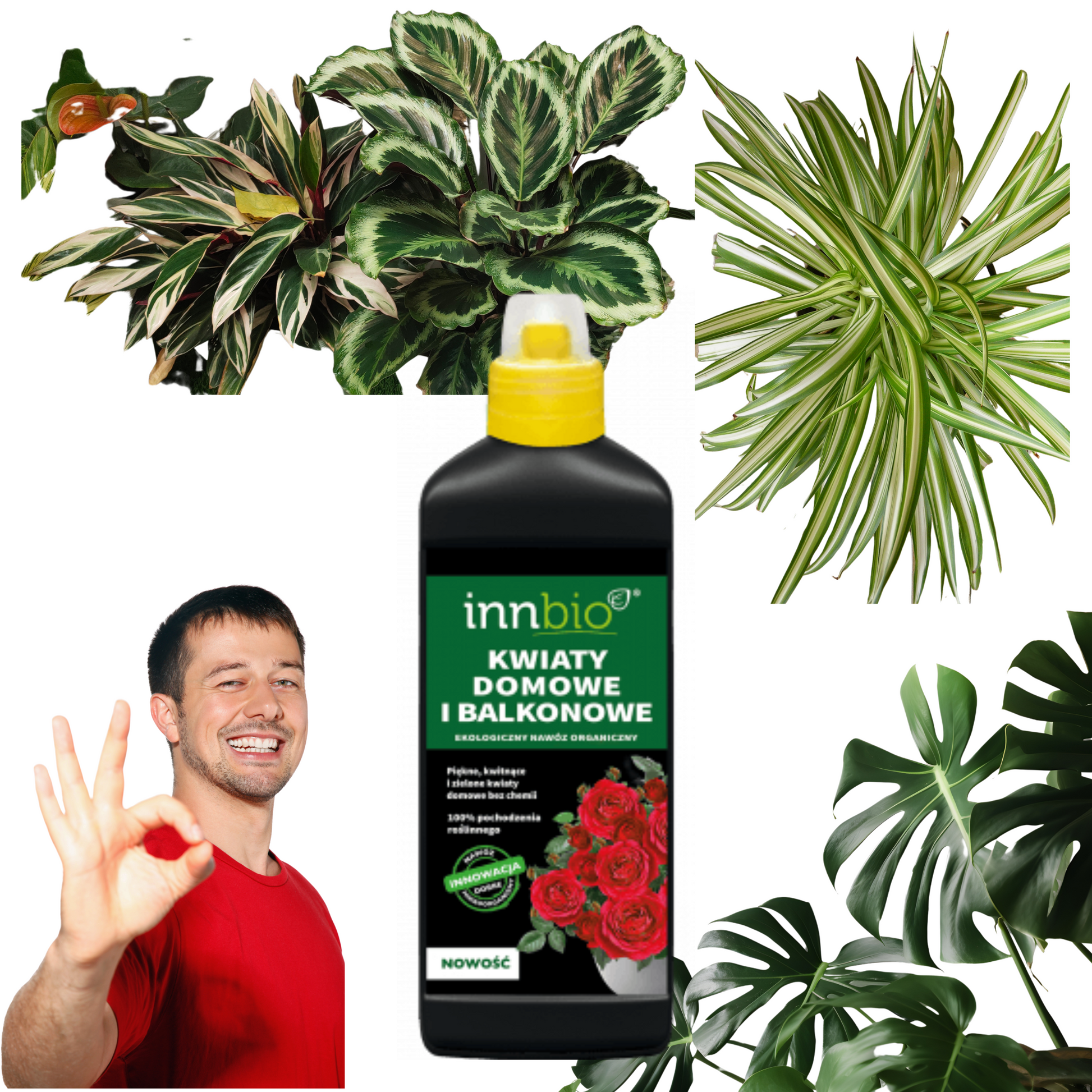 Ekologiczny Nawóz do Kwiatów Domowych i Balkonowych 1l